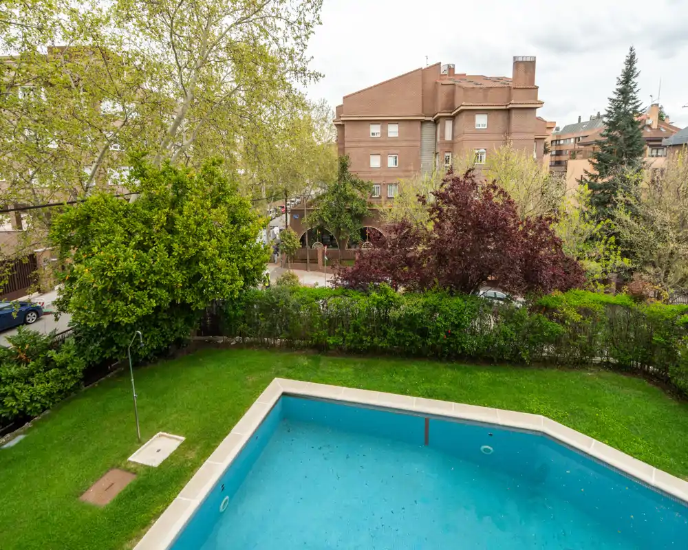 Giardino privato soleggiato con piccola piscina rettangolare, prato curato e alberi maturi — ideale per rilassarsi all'aperto.