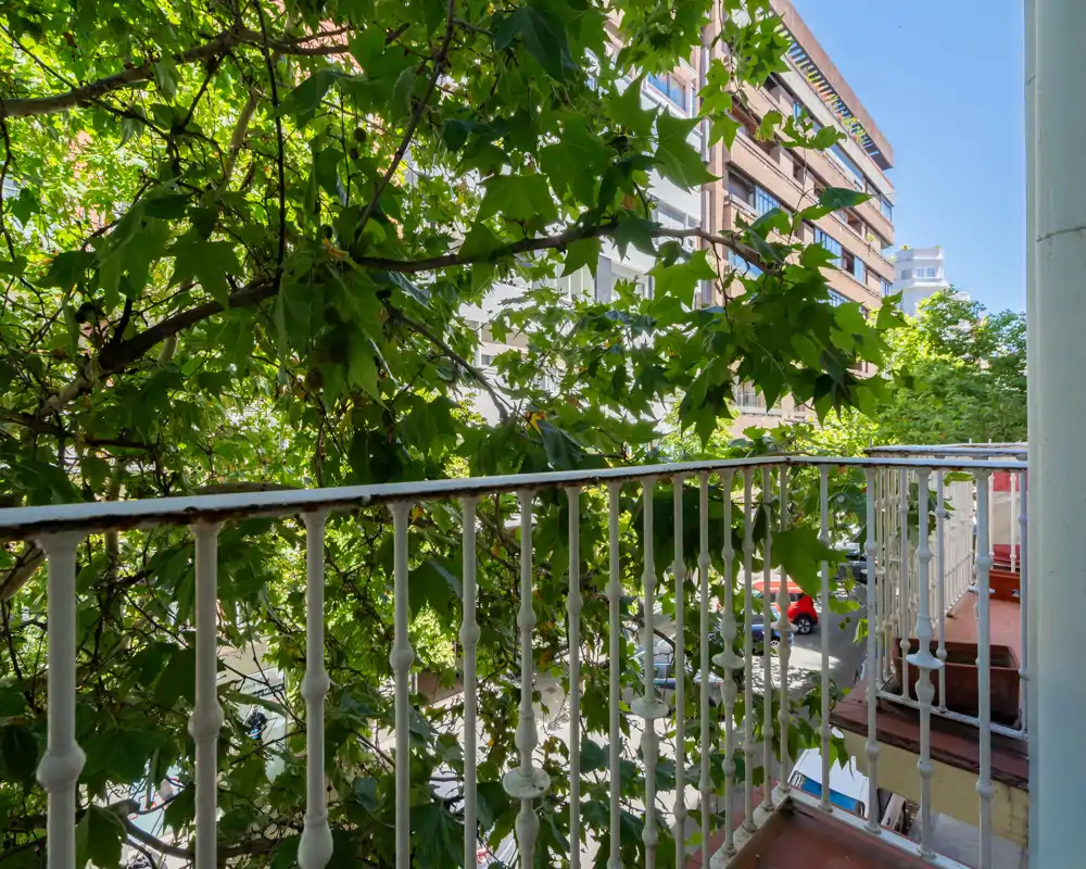 Sunny balcony view with leafy trees and an ornate metal railing overlooking a quiet street and neighboring buildings.