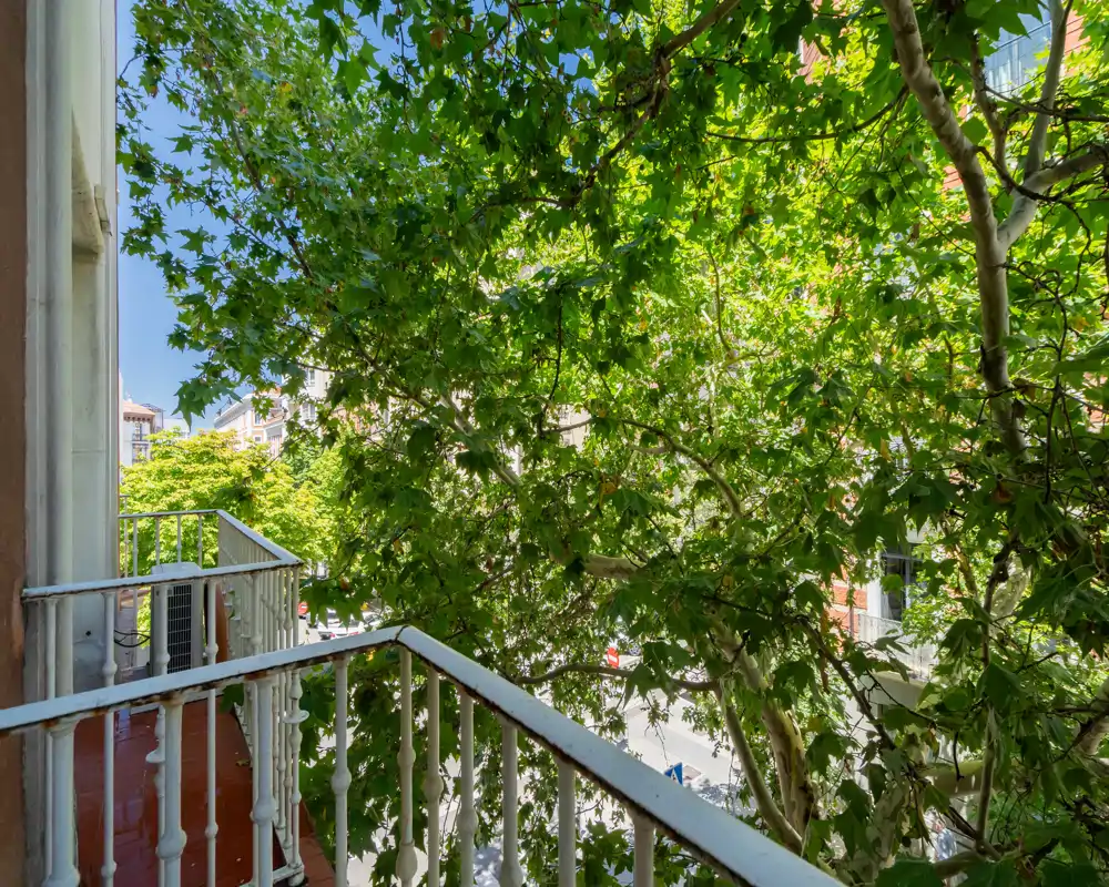Sunny private balcony overlooking a leafy street with decorative metal railings — ideal for morning coffee and urban greenery views.