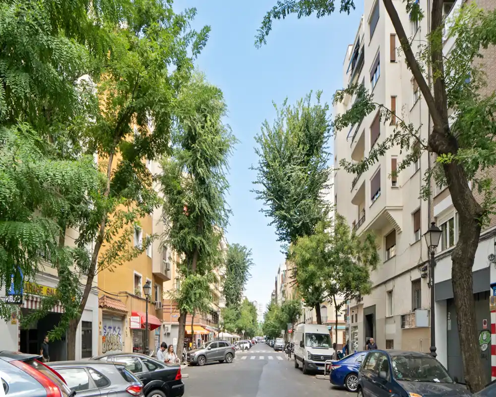 Bright tree-lined urban street with parked cars, low-rise buildings and shops — pleasant exterior view ideal for showcasing neighborhood surroundings.