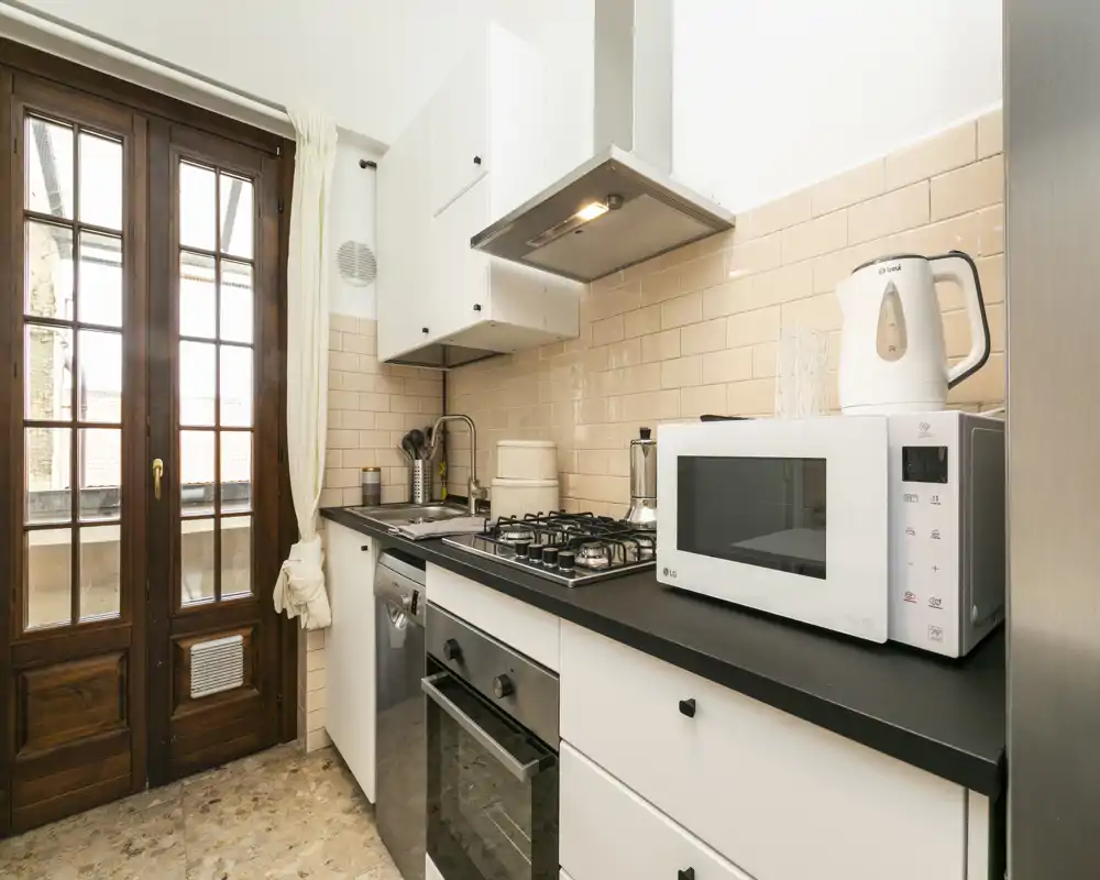 Bright, modern galley kitchen with gas hob, built-in oven, microwave and dishwasher beside a large wooden French door letting in natural light.
