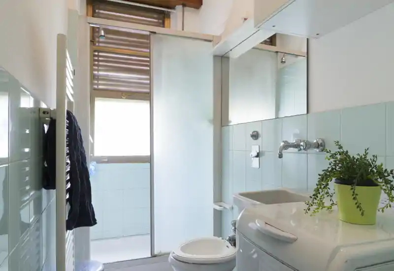 Clean, light bathroom with pale blue tiles, a compact sink and toilet, and a frosted glass shower door; small green plant adds a fresh touch.