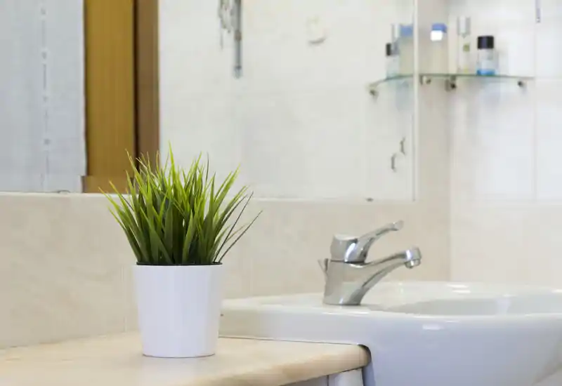 Bright, clean bathroom sink with modern chrome faucet and a small decorative plant on the counter.