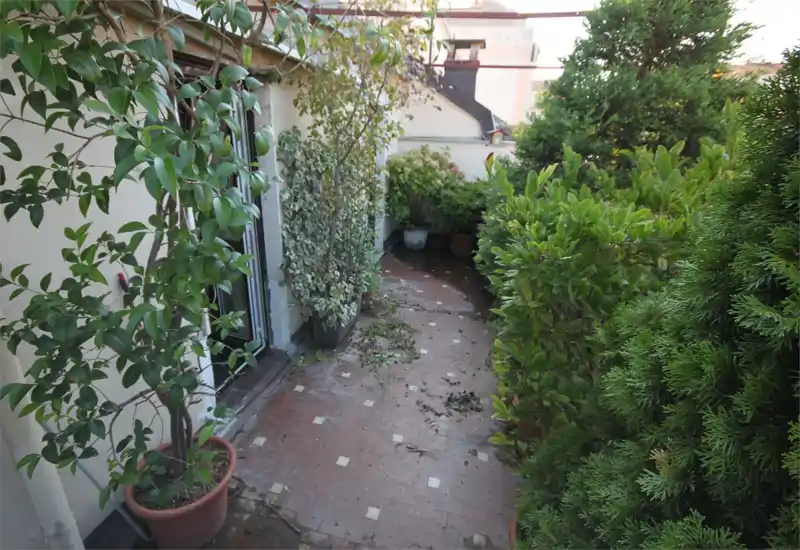 Petite terrasse plantée avec arbres et arbustes en pot, sol carrelé et chemin étroit encadré par la verdure — parfait pour un coin extérieur privé.