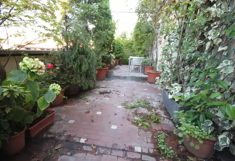 Terrasse ensoleillée plantée de nombreux pots le long d'un chemin carrelé; un petit ensemble de jardin est visible au fond.