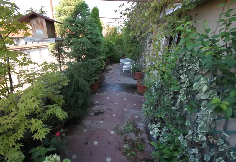 Terrasse étroite bordée de plantes en pot et de lierres grimpants, sol en petites tuiles et chaises empilées au fond — une allée verte privée idéale pour le jardinage urbain.