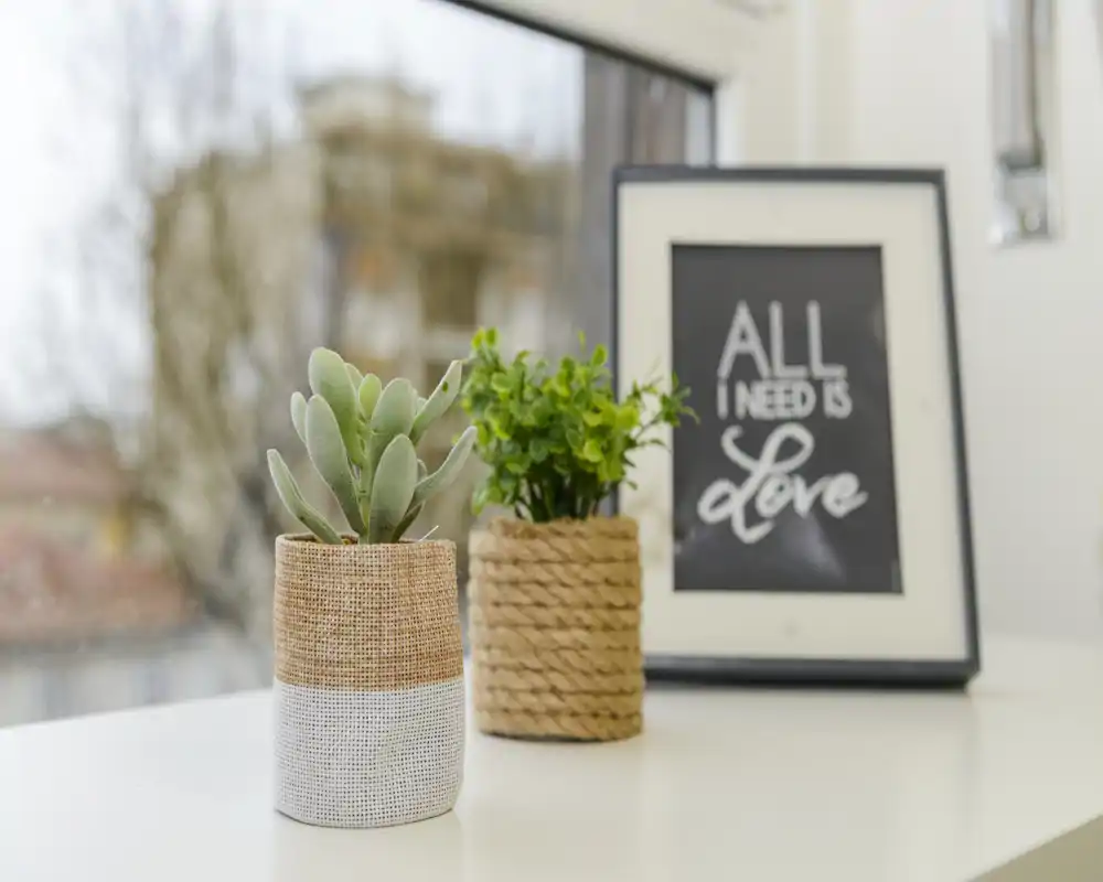 Close-up of a bright windowsill decorated with two small potted plants and a framed print, ideal for adding a cozy, natural touch to a room.