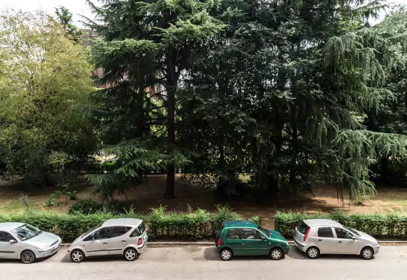 Street-facing outdoor view with parked cars and mature trees; suitable to show building frontage and green space visible from the property.