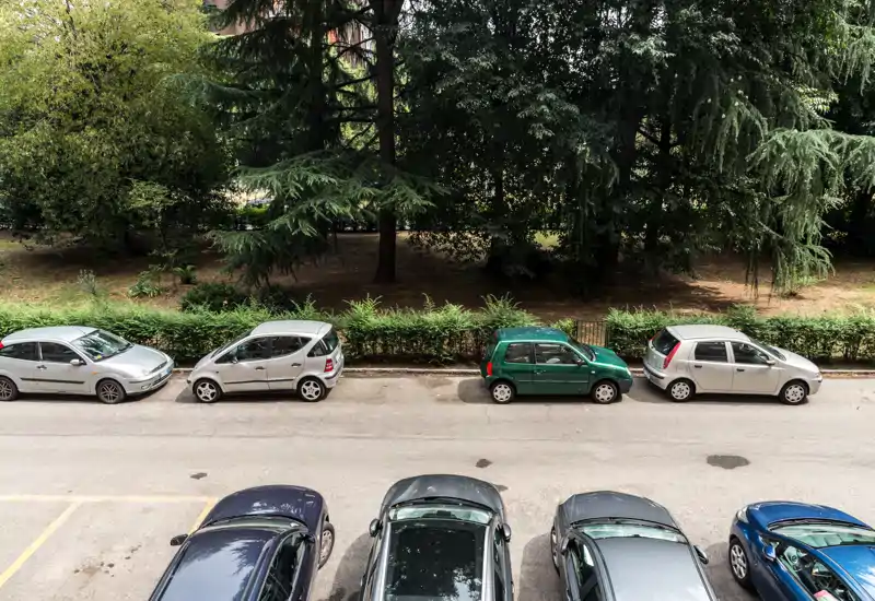 Street-level view of parked cars along a tree-lined curb, showing on-street parking and greenery behind the sidewalk.
