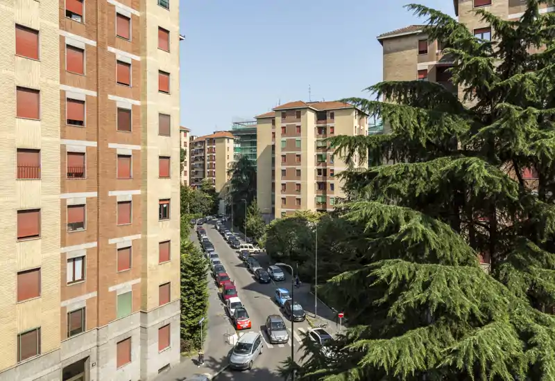 Street-facing outdoor view showing a residential urban road lined with parked cars, multi-story apartment buildings and mature trees under clear daylight.