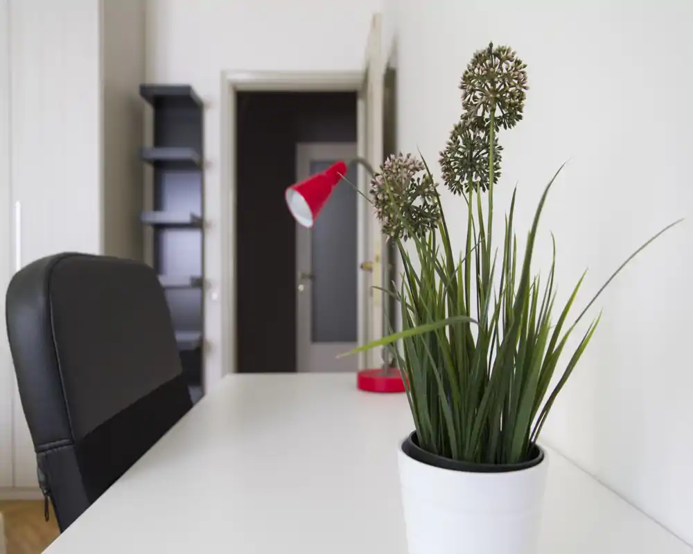 Rincón luminoso de salón/trabajo minimalista con escritorio blanco, silla negra, planta decorativa y lámpara de mesa roja — espacio moderno ideal para estudiar o trabajar en remoto.