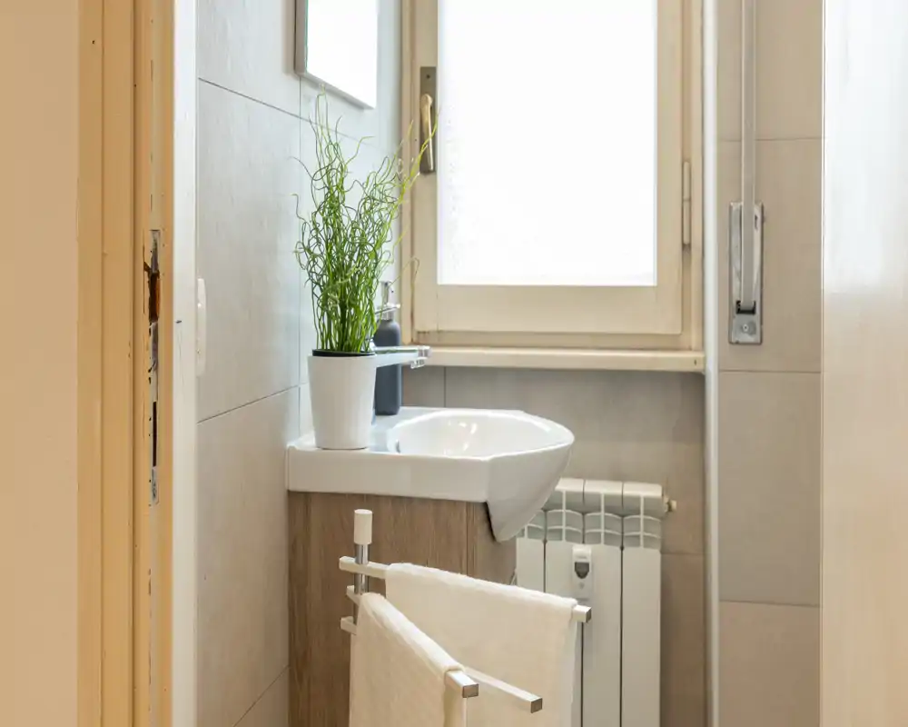Piccolo bagno ben illuminato con lavabo su mobiletto, portasciugamani e una pianta in vaso sul lavabo sotto una finestra satinata.