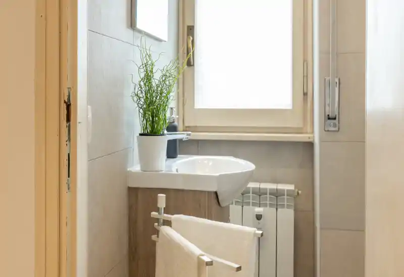 Piccolo bagno ben illuminato con lavabo su mobiletto, portasciugamani e una pianta in vaso sul lavabo sotto una finestra satinata.