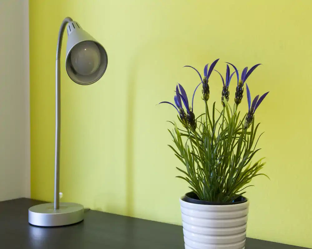 Primer plano de una composición sobre la mesa: una lámpara de escritorio plateada y una maceta blanca con flores moradas frente a una pared amarillo pálido. Imagen limpia y bien iluminada, adecuada para mostrar detalles decorativos.