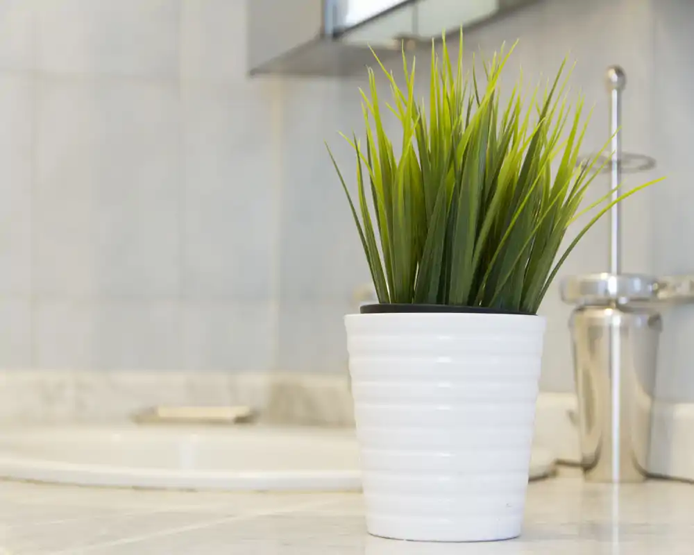 Primer plano de una pequeña planta en maceta situada sobre la encimera del baño junto al lavabo, que aporta un toque decorativo fresco.