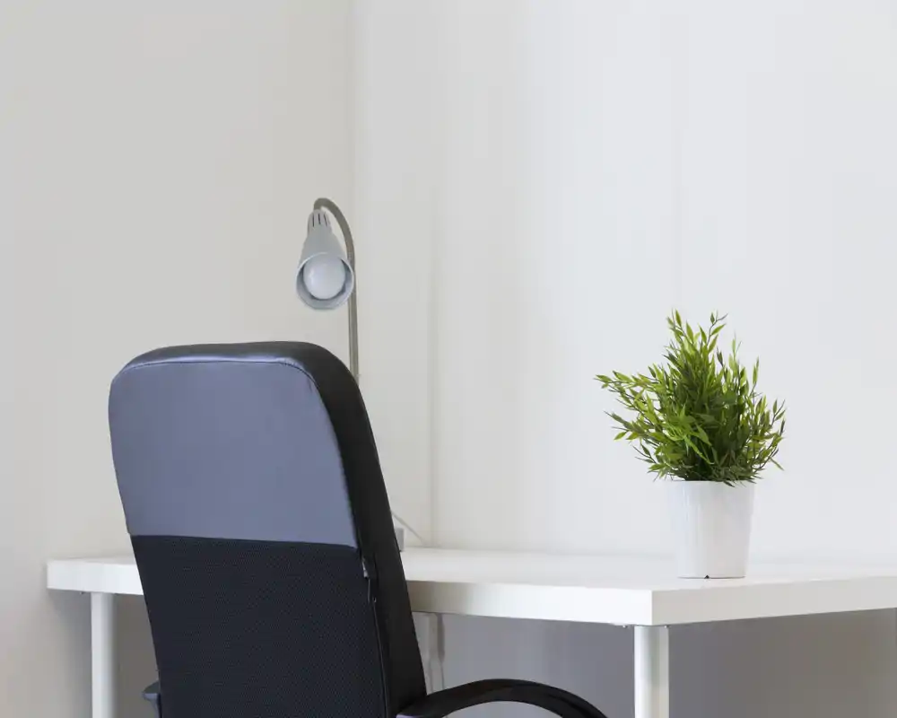 Bright, minimal home office corner with a clean white desk, ergonomic chair, desk lamp and a potted plant — ideal for focused work.