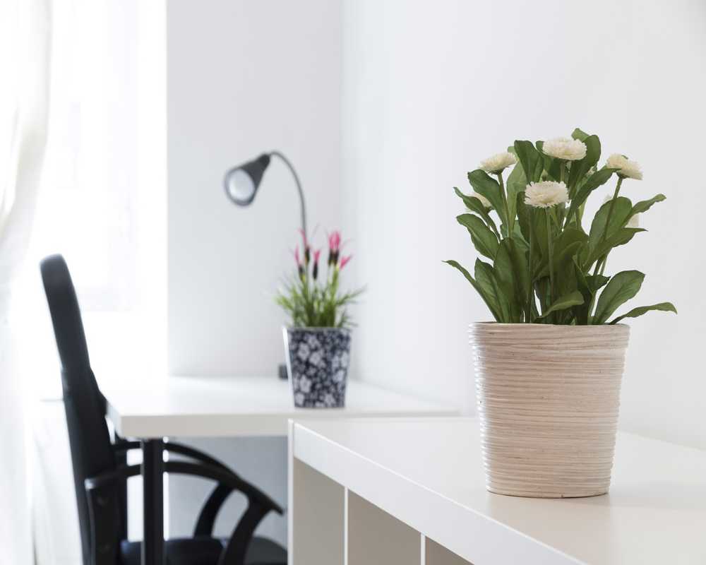 Camera singola Milano, 4 camere, 13m² — foto 22