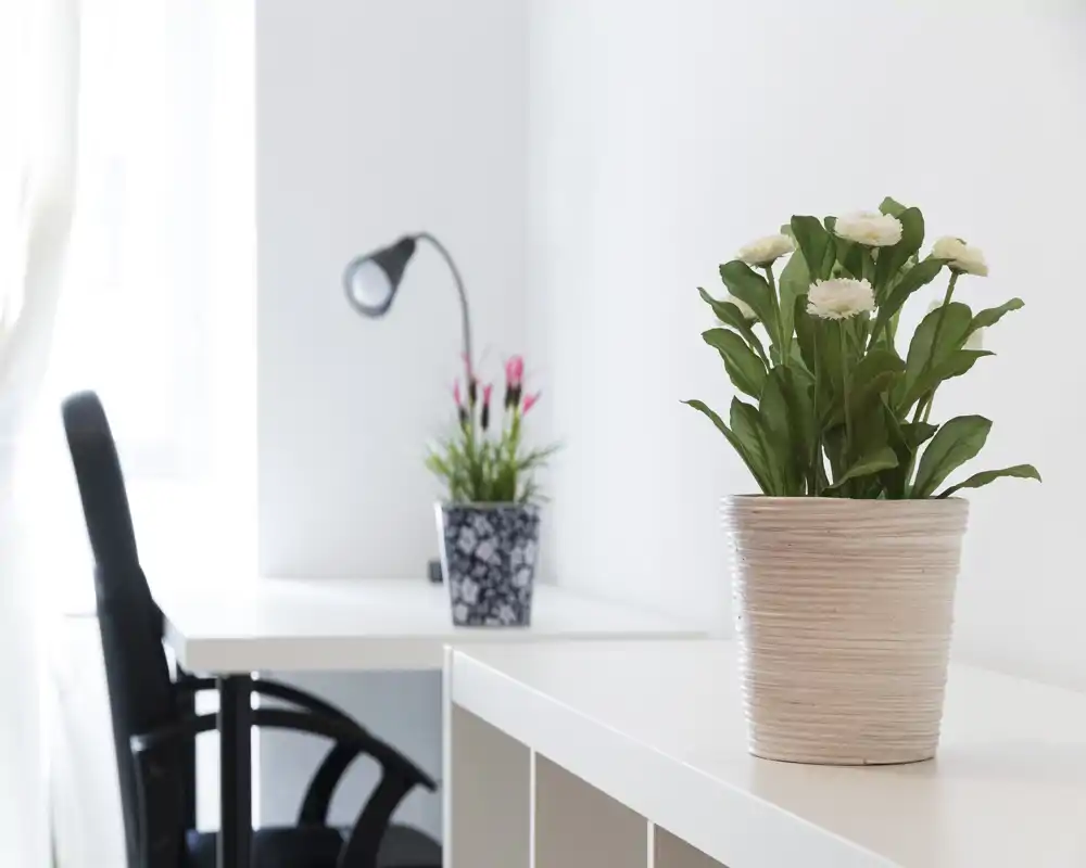 Rincón de oficina luminoso y minimalista en el salón con escritorio blanco, silla ergonómica y plantas en maceta que aportan frescura.