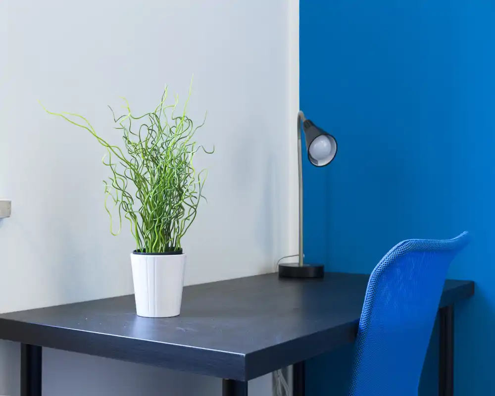 Compact, modern desk corner with a dark table, blue mesh chair, small desk lamp and a potted decorative plant — a neat workspace ideal for a studio apartment.