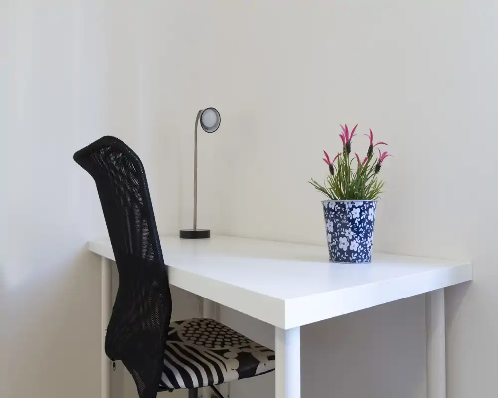 Minimal home workspace with a white desk, patterned chair, small lamp and decorative potted plant in a bright, calm corner.