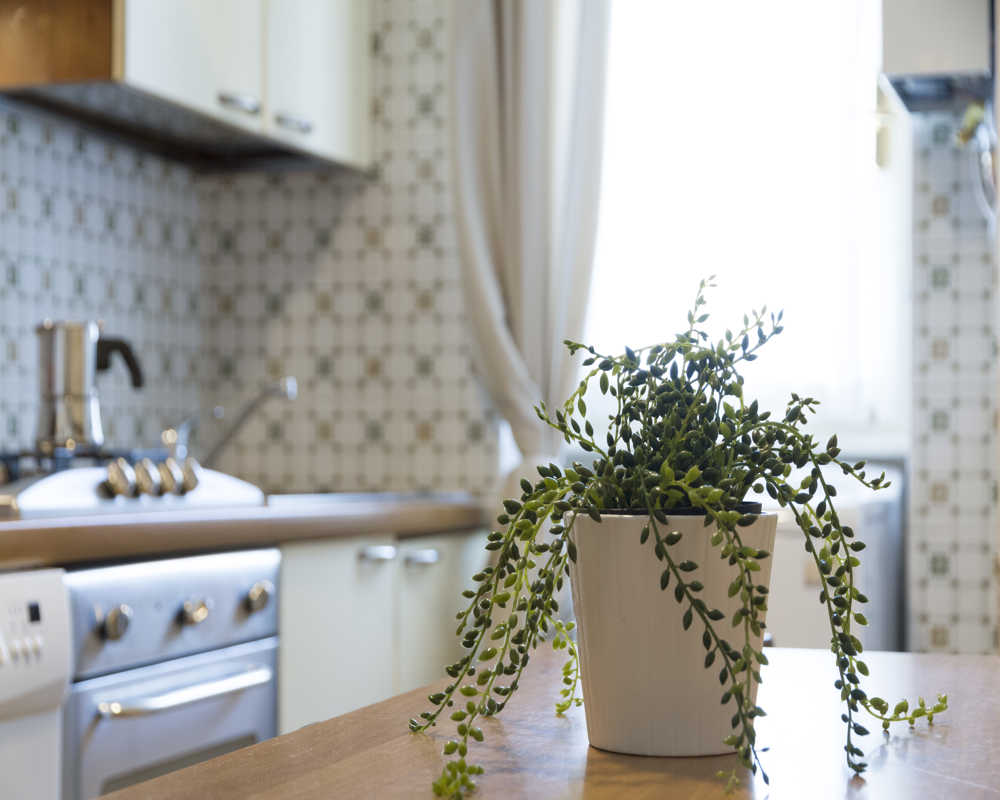 Single room Milano, 3 beds, 20m² — photo 9
