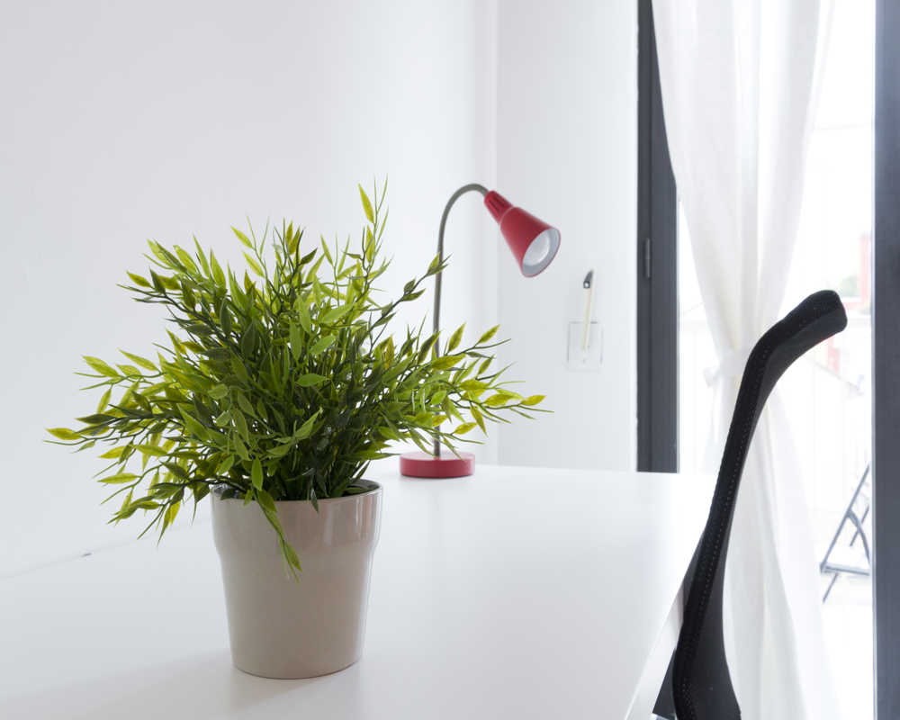 Single room Milano, 4 beds, 20m² — photo 36