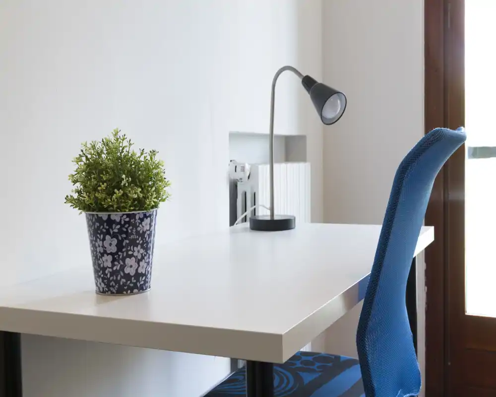 Bright, minimal workspace with a white desk, adjustable desk lamp and a blue office chair; a small potted plant adds a touch of greenery.