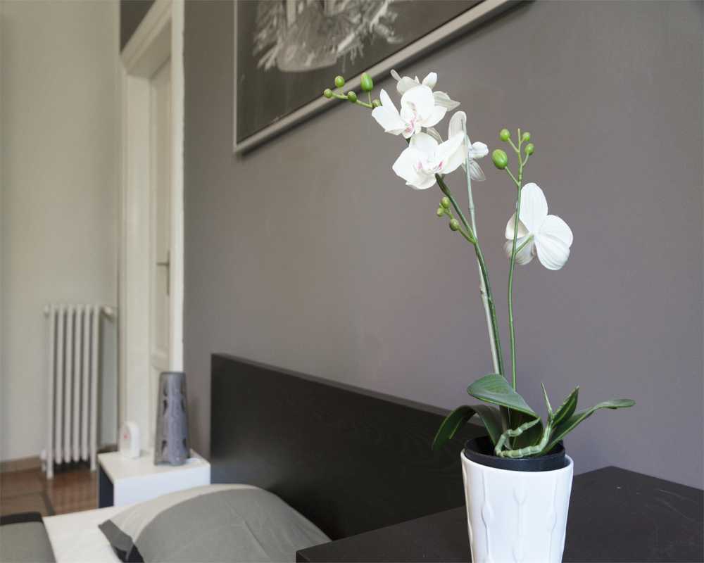 Chambre simple Milano, 5 chambres, 17m² — photo 15