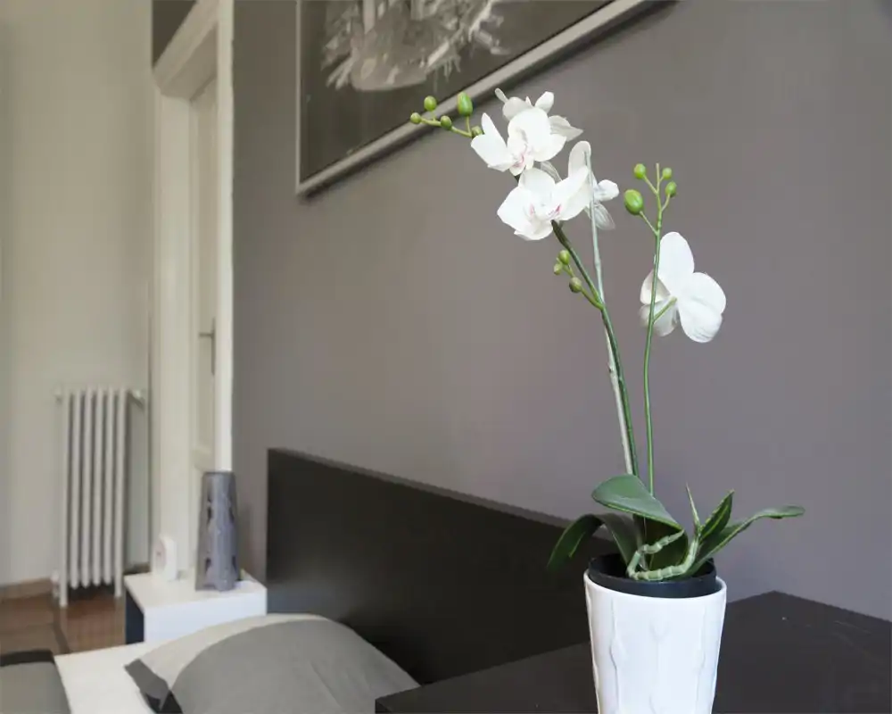 Coin de chambre lumineux et moderne avec tête de lit visible, lit bien fait et une orchidée blanche décorative sur la table de chevet — style sobre et accueillant, parfait pour une annonce.