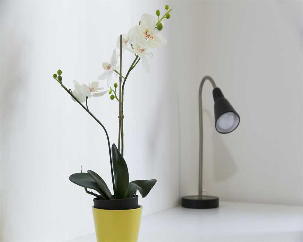 Single room Milano, 3 beds, 24m² — photo 22