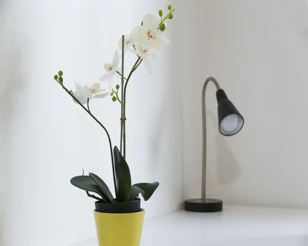 Angolo decorativo minimale con un'orchidea in vaso e una lampada da tavolo compatta su una superficie bianca pulita, perfetto per l'ingresso o come elemento accanto al letto.