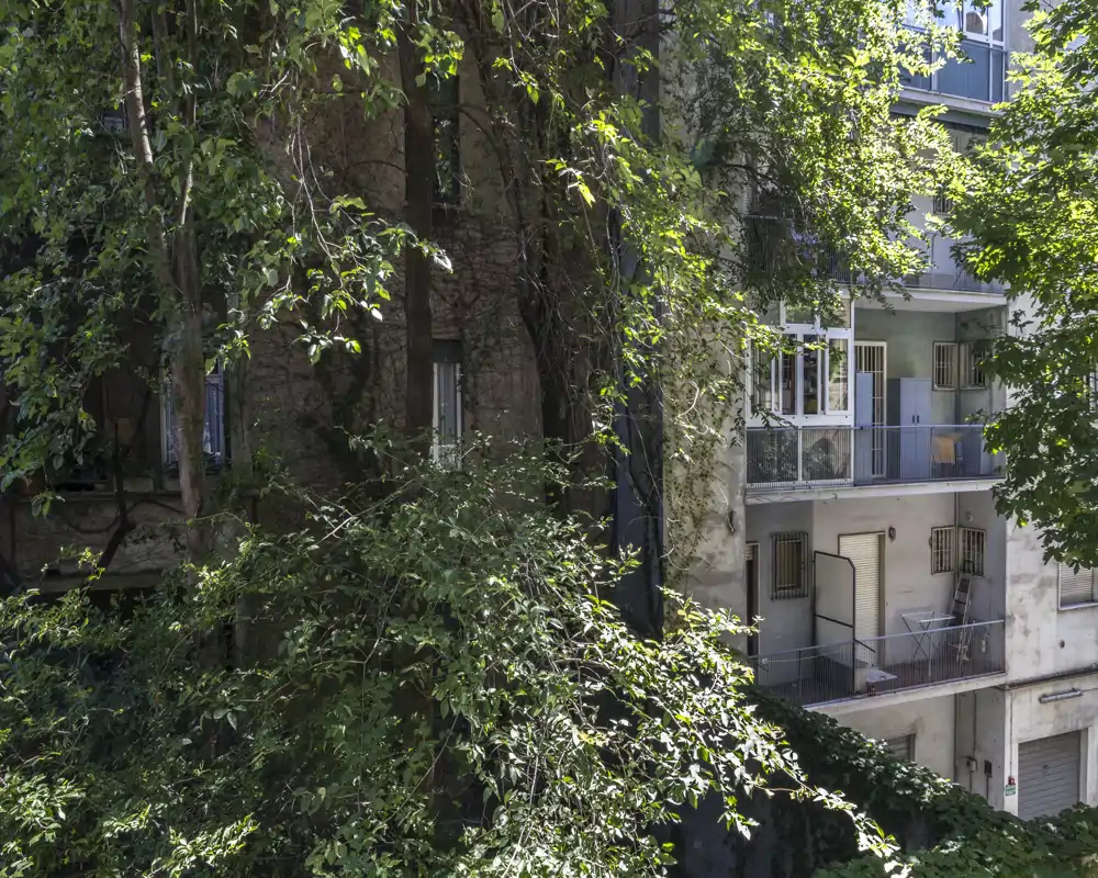 Vista esterna di una facciata con alberi rigogliosi e più balconi piccoli – un piacevole scorcio di terrazza urbana con luce naturale.