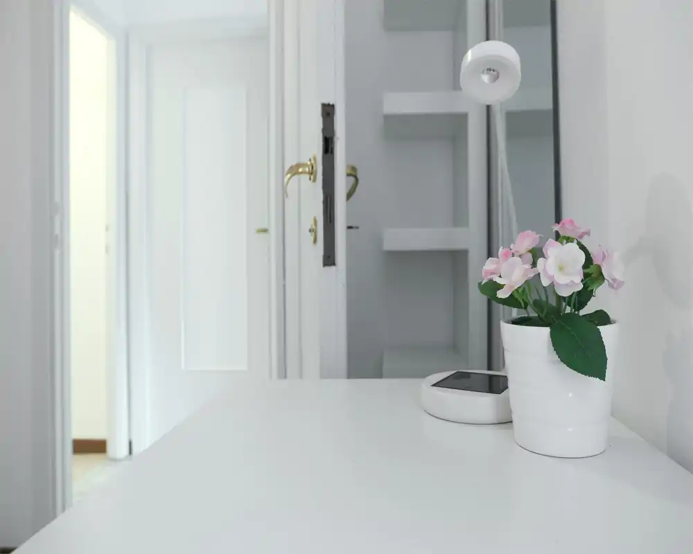 Superficie d'ingresso minimal e luminosa con una piccola pianta in vaso e porta che conduce al corridoio — ingresso pulito e moderno con luce naturale morbida.