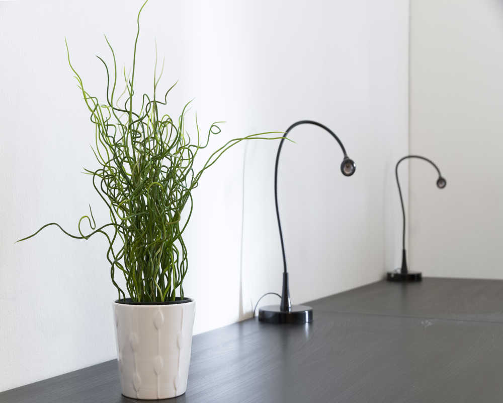 Single room Milano, 3 beds, 24m² — photo 6