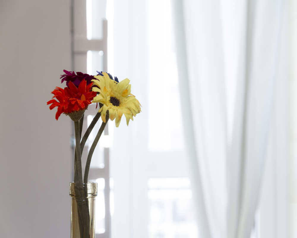 Single room Milano, 3 beds, 24m² — photo 11