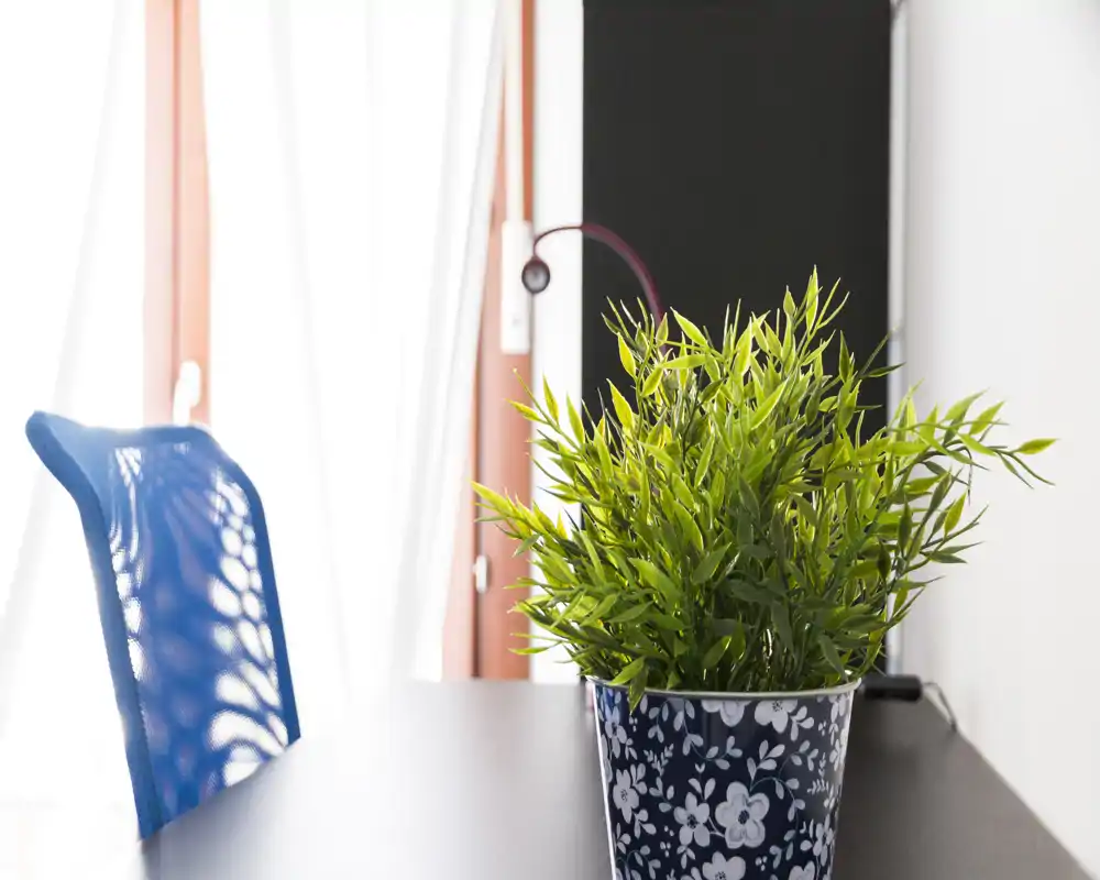 Bright, minimal workspace corner with a decorative potted plant on a desk and a blue mesh chair beside a large window letting in natural light.