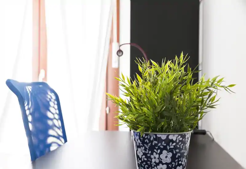 Bright, minimal workspace corner with a decorative potted plant on a desk and a blue mesh chair beside a large window letting in natural light.