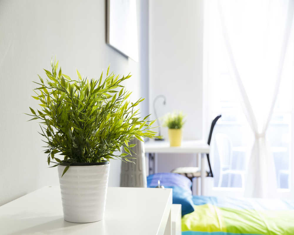 Single room Milano, 3 beds, 21m² — photo 5
