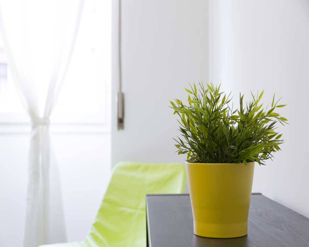 Single room Milano, 3 beds, 20m² — photo 55
