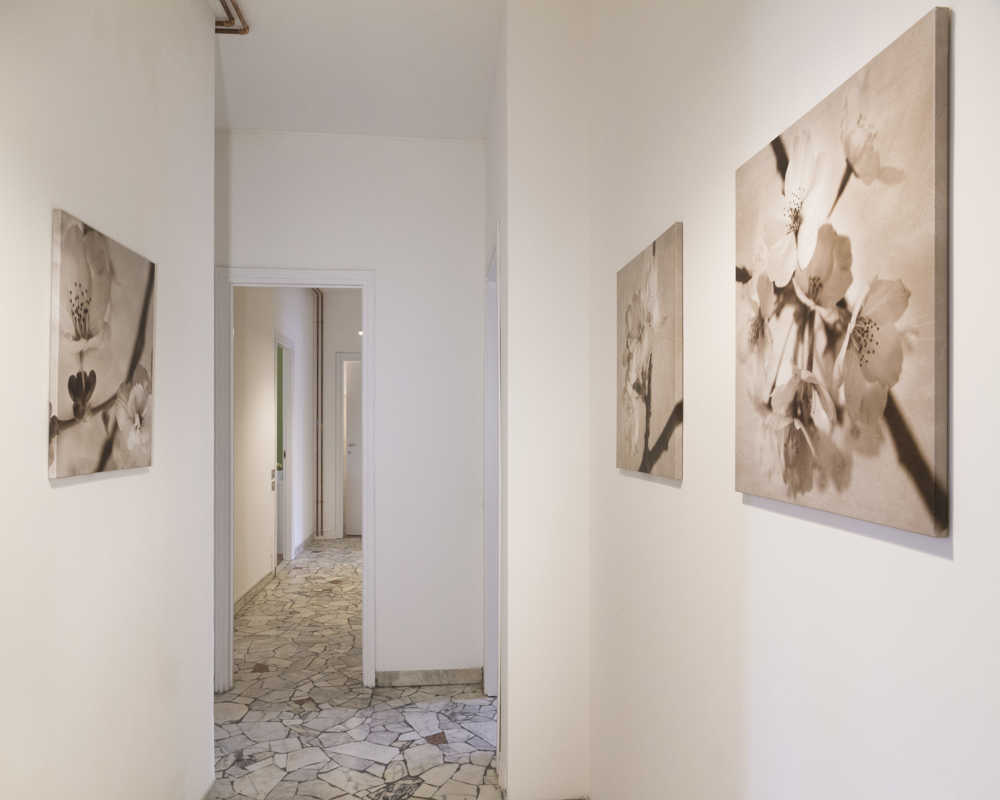 Single room Milano, 4 beds, 21m² — photo 39
