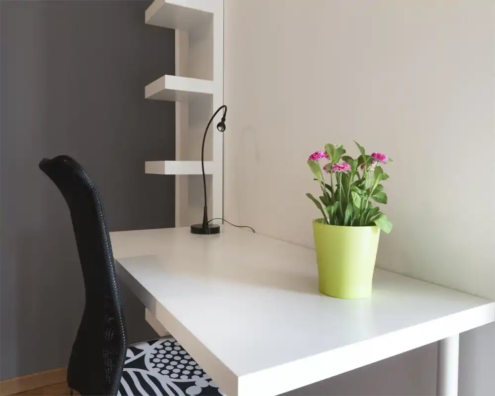 Angolo lavoro luminoso e minimal con scrivania bianca, piccola lampada, sedia con fantasia e una piantina in vaso verde che aggiunge colore.