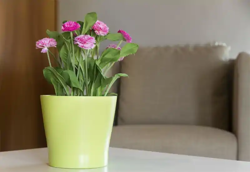 Dettaglio di una zona giorno confortevole con un divano beige e un vaso verde con fiori rosa su un tavolo bianco, ideale per mettere in risalto l'arredamento.