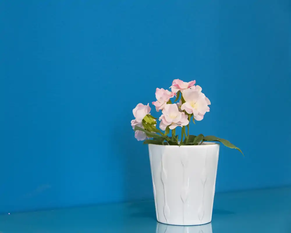 Gros plan d'une plante en pot décorative sur une surface et un fond bleus ; aucun contexte de pièce n'est visible.