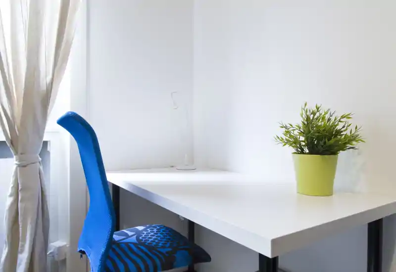 Coin bureau lumineux et minimaliste avec un bureau blanc, une chaise bleue ergonomique et une petite plante en pot près du mur.