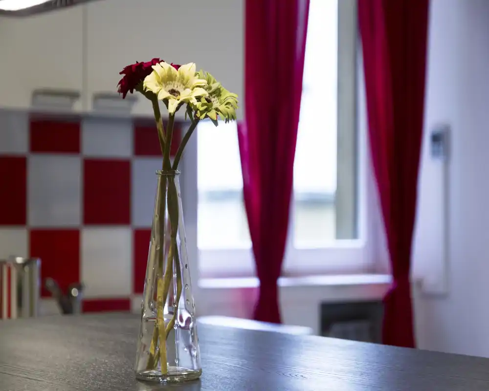 Bancone cucina moderno con un semplice vaso di vetro con fiori freschi; piastrelle rosse e bianche e una finestra con tende rosse creano un accent colorato e accogliente.