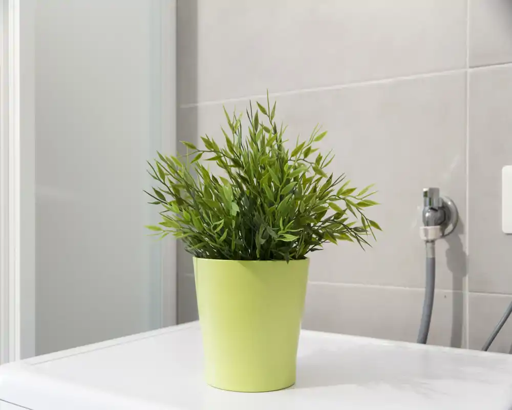 Una piccola pianta in vaso posata su una superficie bianca davanti a piastrelle da bagno, che aggiunge un tocco decorativo e fresco.