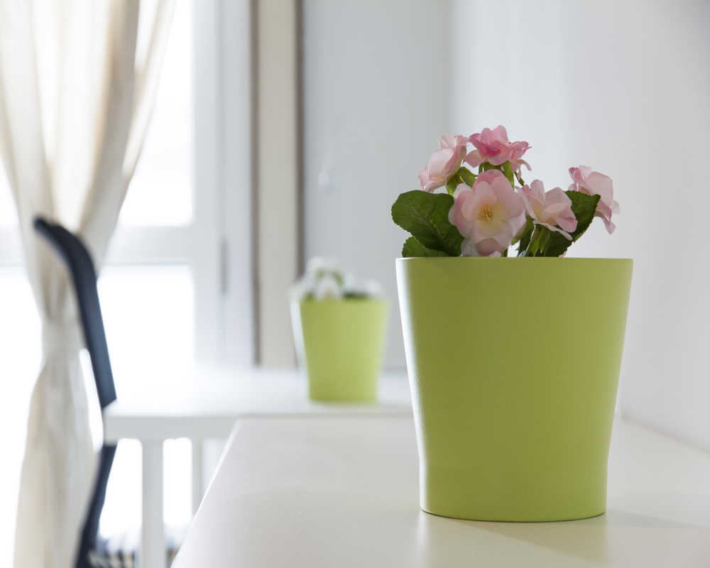 Single room Milano, 4 beds, 20m² — photo 30