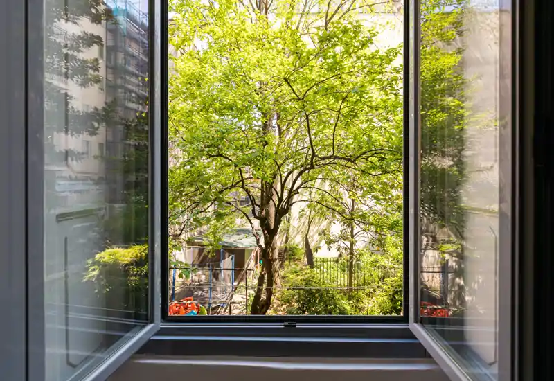 Finestra aperta che incornicia un cortile alberato con un albero maturo e edifici circostanti; luce naturale luminosa e vista verde piacevole.