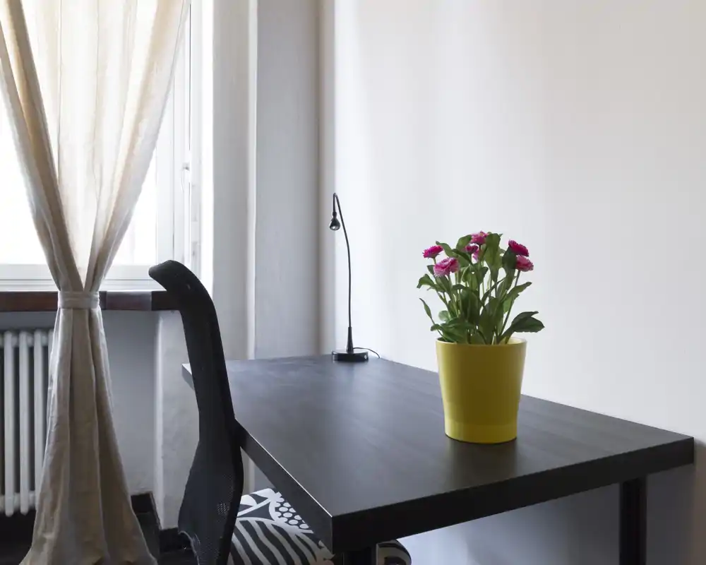 Rincón de trabajo luminoso y minimalista con escritorio negro, silla ergonómica y una pequeña planta en maceta junto a una ventana con cortina — ideal para concentrarse.