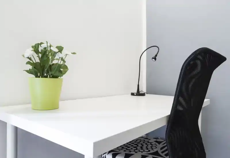 Bright, minimal workspace corner with a white desk, small black task lamp and a decorative potted plant—ideal for focused work or study.